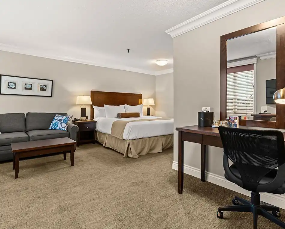 Deluxe King Room (2)