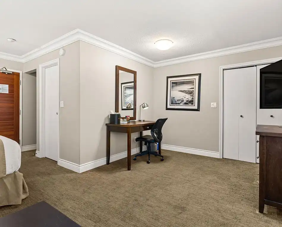 Deluxe King Room (5)