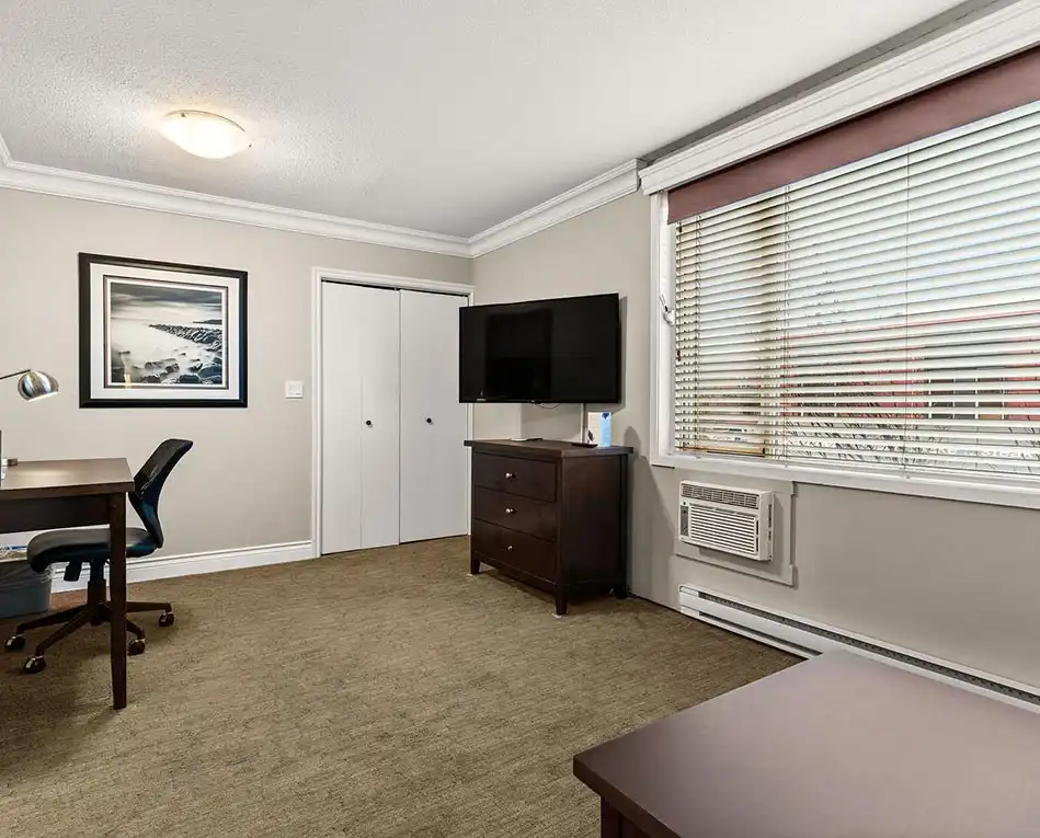Deluxe King Room (6)