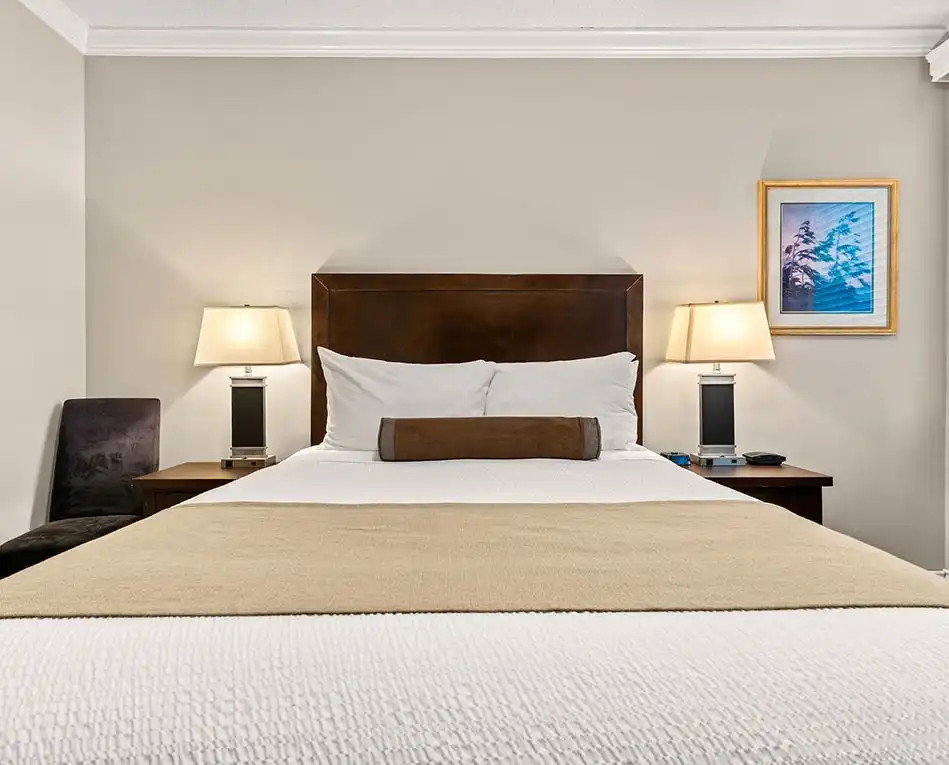 Executive 1 Queen Bed Room (3)