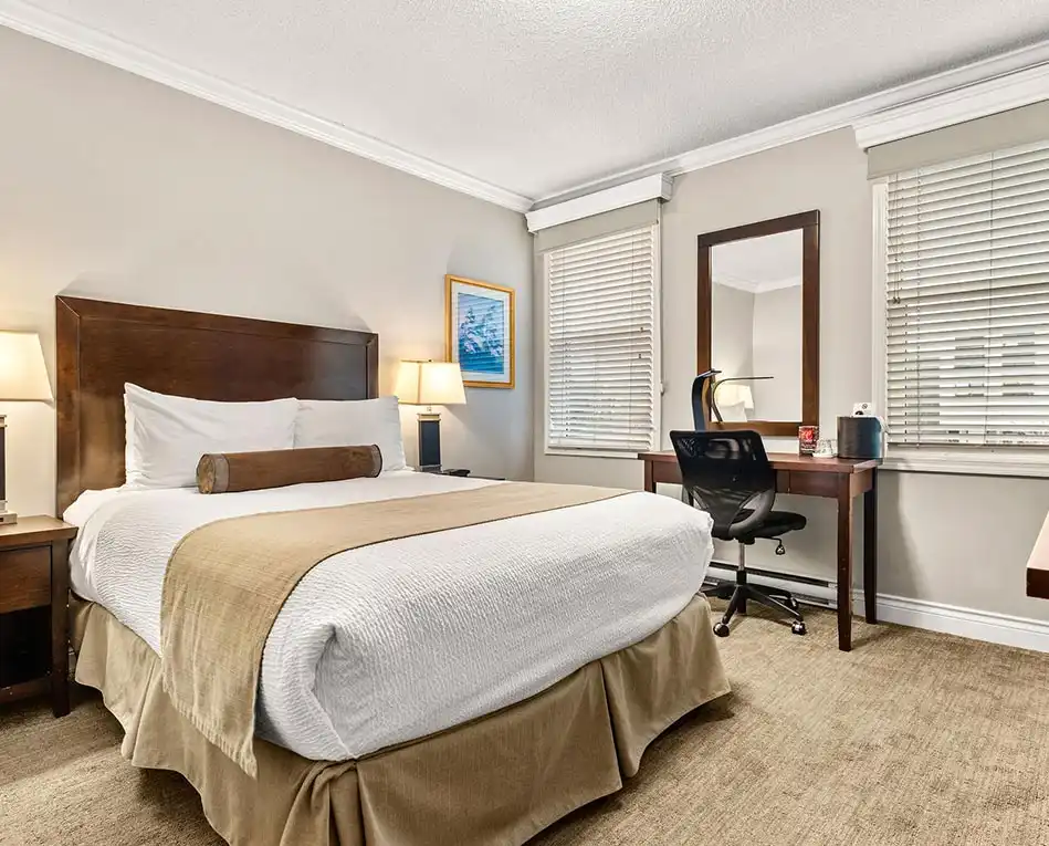 Executive 1 Queen Bed Room