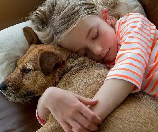 Pet Friendly Rooms