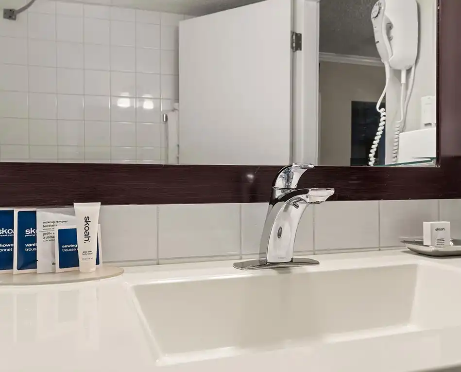Signature Two Queen Suite (11)